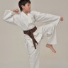 karate_medium_3.JPG