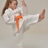 karate_small_60u.JPG